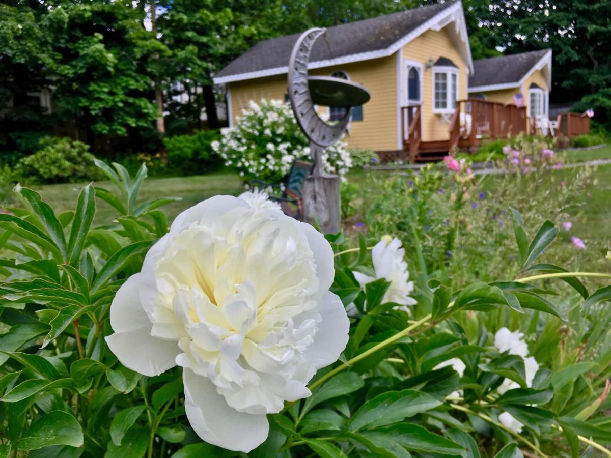 Sand Bar Cottage Inn บาร์ฮาเบอร์ ภายนอก รูปภาพ